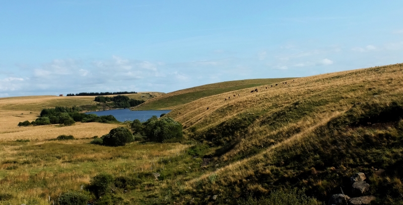 LE CEZALLIER A MOTO : LA ROUTE DES BURONS . 