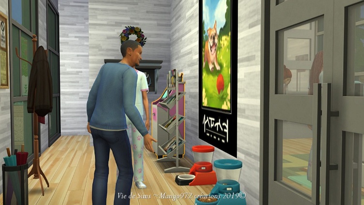 Les Sims 4 : La clinique vétérinaire  du soleil 