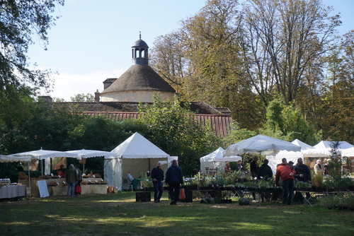 Une belle édition d'automne à St Jean de B