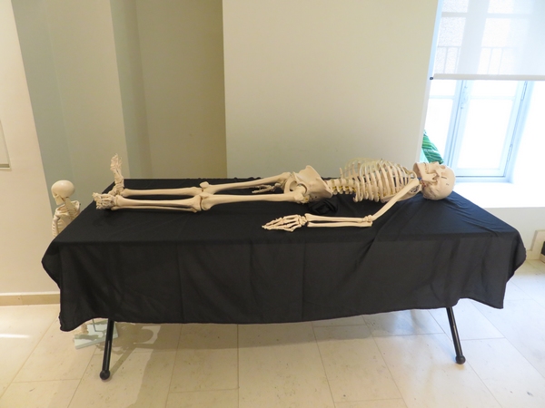 Julie Cazes, chercheuse en thanatologie,  a éclairé les visiteurs sur l'étude des squelettes anciens ou modernes