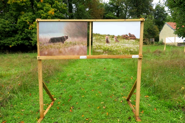 Une exposition de photographies aux Villas du Parc à Vanvey