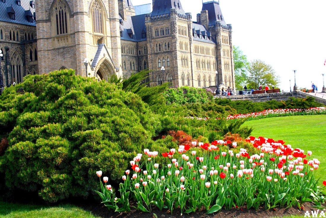 Ottawa, au Canada, en mai 2016
