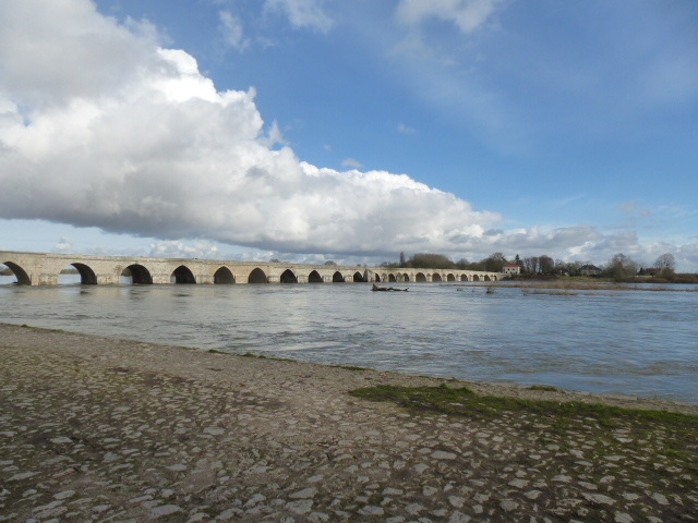 LE  LAC  DES  CYGNES  A  BEAUGENCY