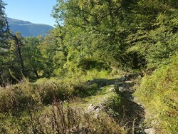 L'Eclaireur prend un "tir" à Arneule