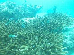 Seizième jour : Ao Nang underwater