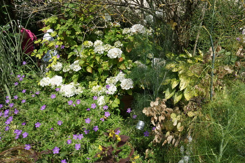 Le jardin naturellement beau de Michèle