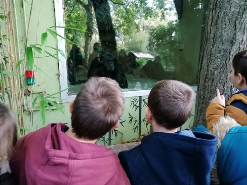 1er atelier pédagogique au zoo