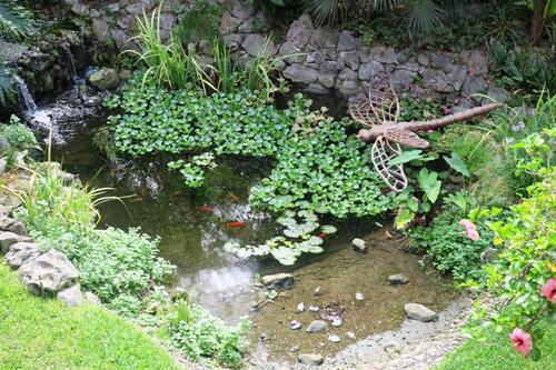 Balade dans les Jardins Botaniques d'Alameda à Gibraltar