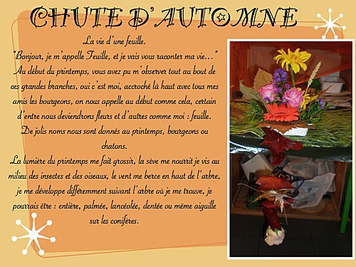 2012 10 chute d'automne (3)