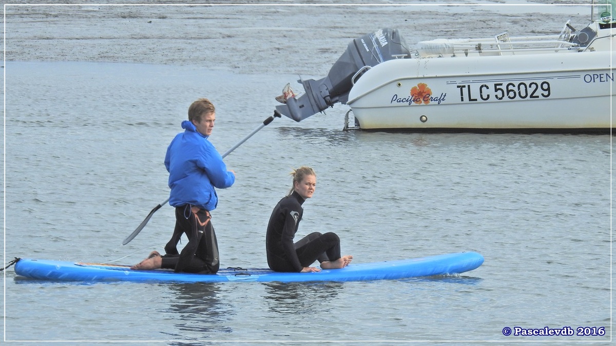 Balade à Claouey sur la presqu'île du Cap Ferret - Octobre 2016 - 7/10