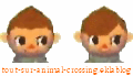 image coiffure animal crossing DS
