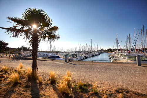 St-Gilles-Croix-de-Vie  (Vendée)