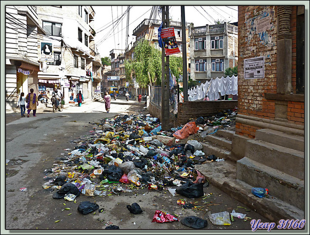 Blog de images-du-pays-des-ours : Images du Pays des Ours (et d'ailleurs ...), Scène beaucoup moins bucolique dans les rues de Katmandou - Népal