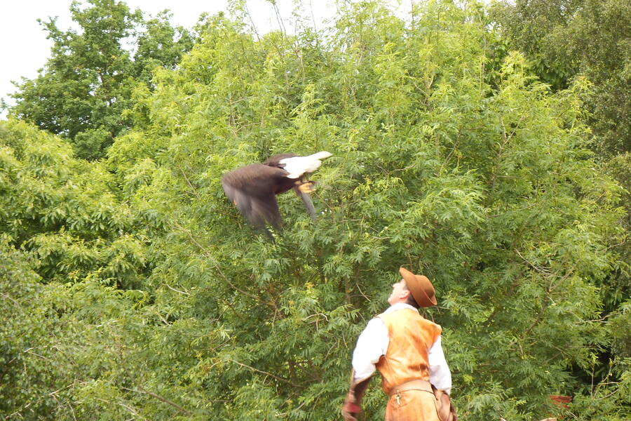 le puy du fou 2013 (2)