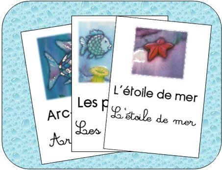 * Lecture: Arc en ciel, le plus beau poisson des océans