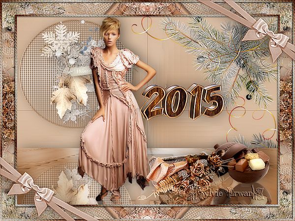 Bonne année 2015 à tous