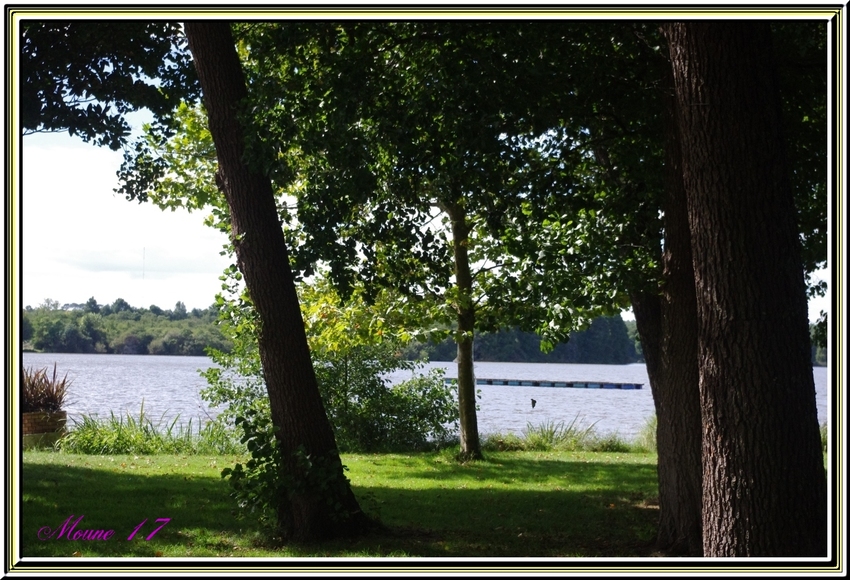 Le lac de Soustons    (landes)