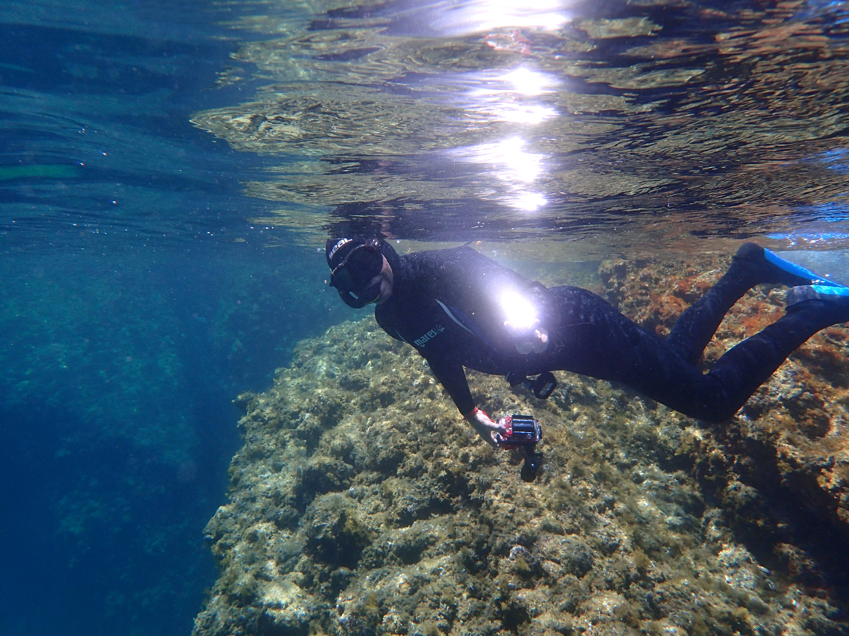 Plongée dans la calanque de Seynerolles sur l'île Verte - Snorkeling  exploration