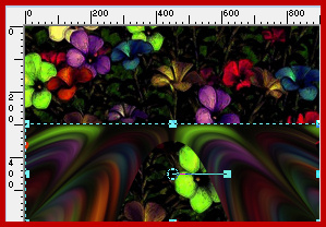 Parmi les fleurs