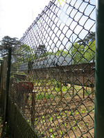 Parc du Vallon à la Duchère Lyon (2)