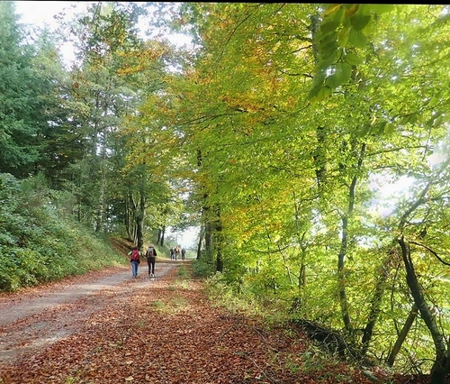 saison 2019-20 en depression je cherche mon chemin