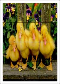 Puzzles animaux 12 cadres