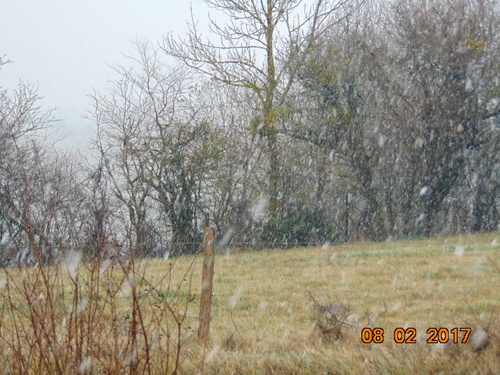 NOus avons eu de la neige ... ;)