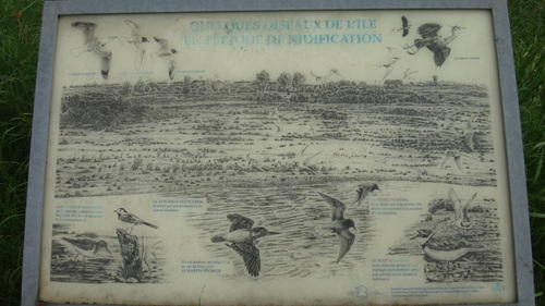 Lire l’illisible (à propos des panneaux d’information sur la faune ligérienne le long du parcours de la Loire à vélo près de Sully)