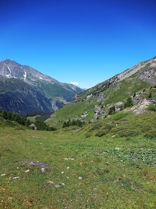 28/07/2016 Vallon du Clou Sainte Foy TSe, Alpes Grées, Savoie 73  France