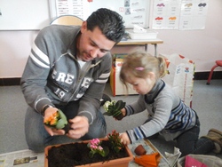 Le papa d'Eglantine nous a apporté des plantes!