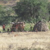 En territoire Himba