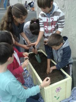 Projet plantations