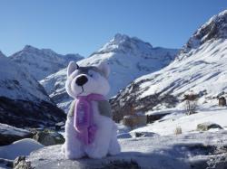 mascotte en montagne