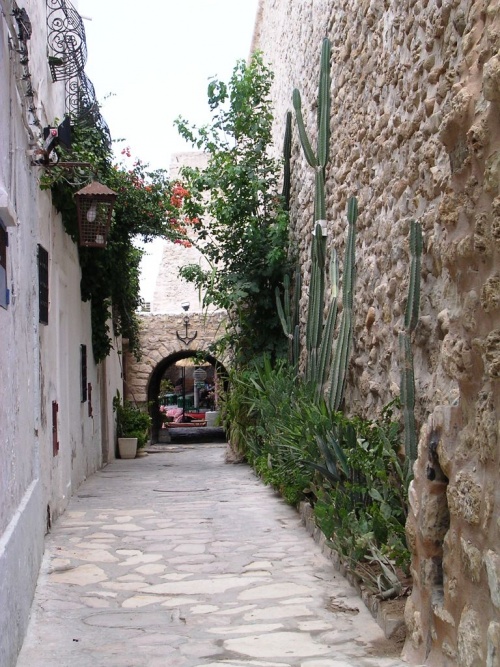 Détour par Hammamet et la vieille médina 