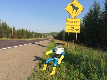 HitchBot