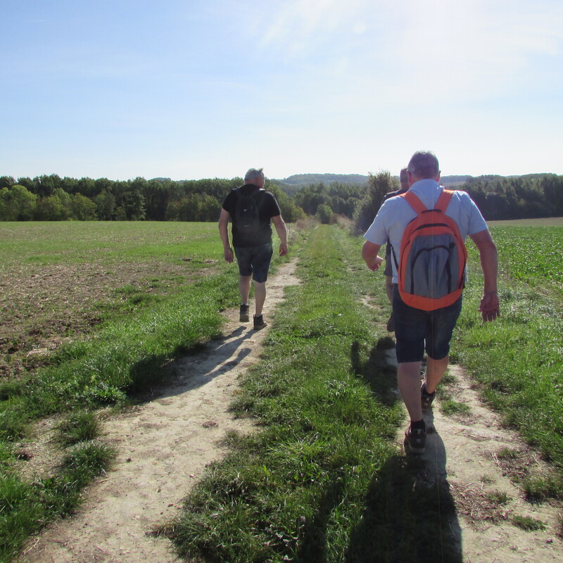            marche de mardi dernier dans les étangs a 25klm de cher moi