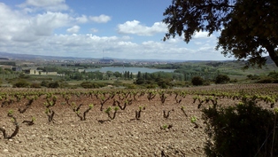 paysage de la Rioja