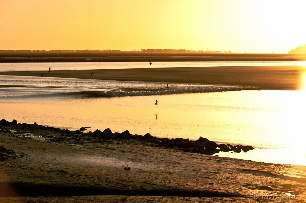 baie mont-saint-michel - anse d'avranches