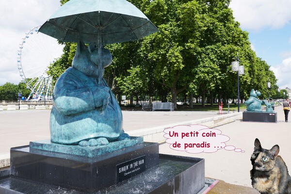 Le chat déambule sur ls quais de Bordeaux (4)