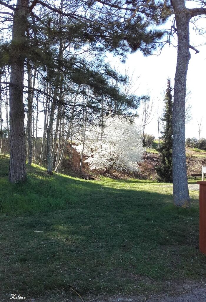 Parc de la Toison d'Or Dijon