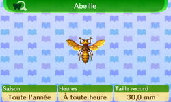 Les insectes