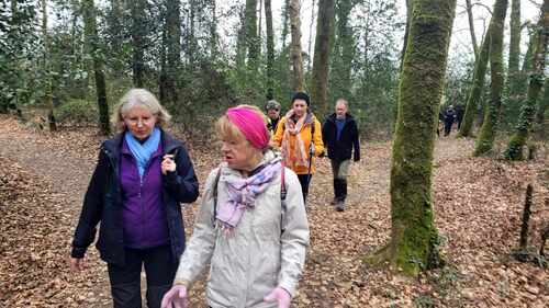 Rando à Arradon le 14 03 2024 .25 randonneurs ont marché 13km sous un crachin breton !!!!!