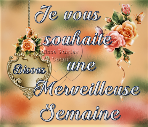 Accueil