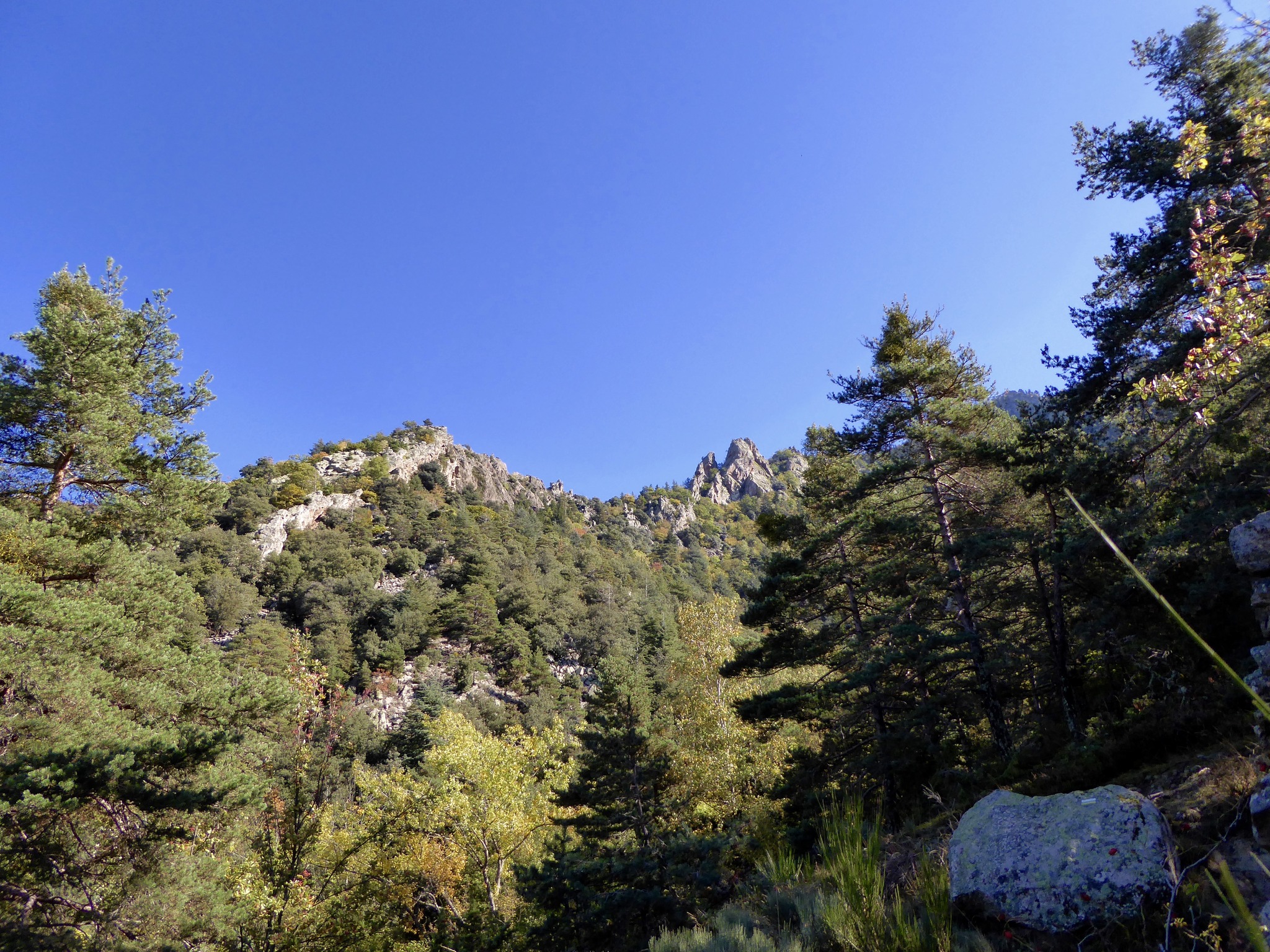 Peut être une image de arbre et montagne