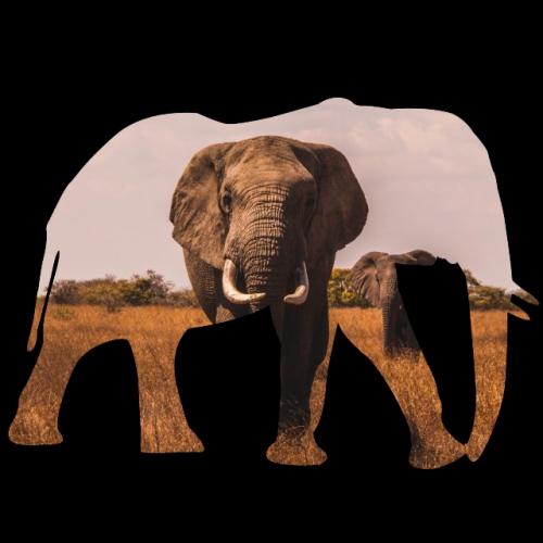 Rendu final du vignettage avec 2 images