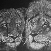 Couple de lions - 2015