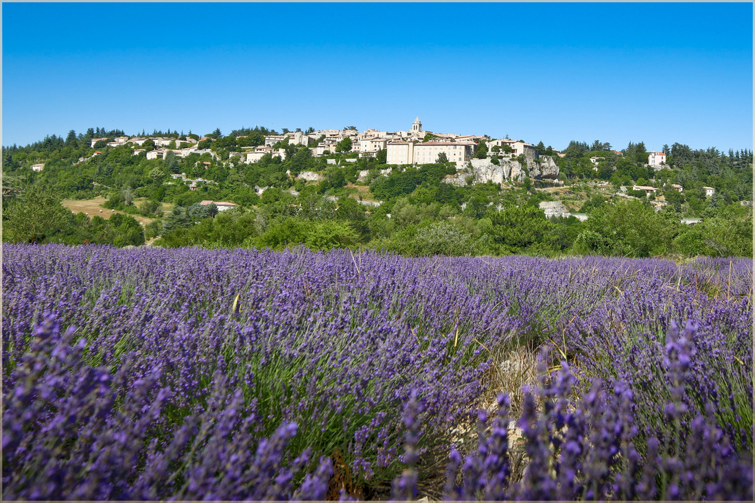 Objectif Provence . (part 1) 