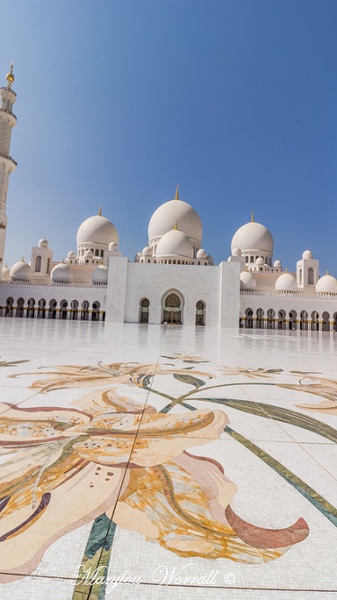 Abu Dhabi : Mosquée du Sheikh Zayed 3/