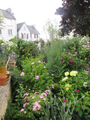 Jardin d'ailleurs... chez Marie, "Au nom de la rose"