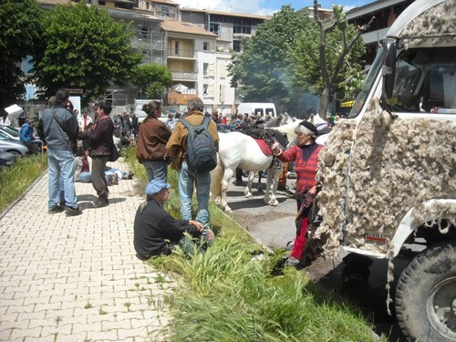 'résis'transhumance à Digne